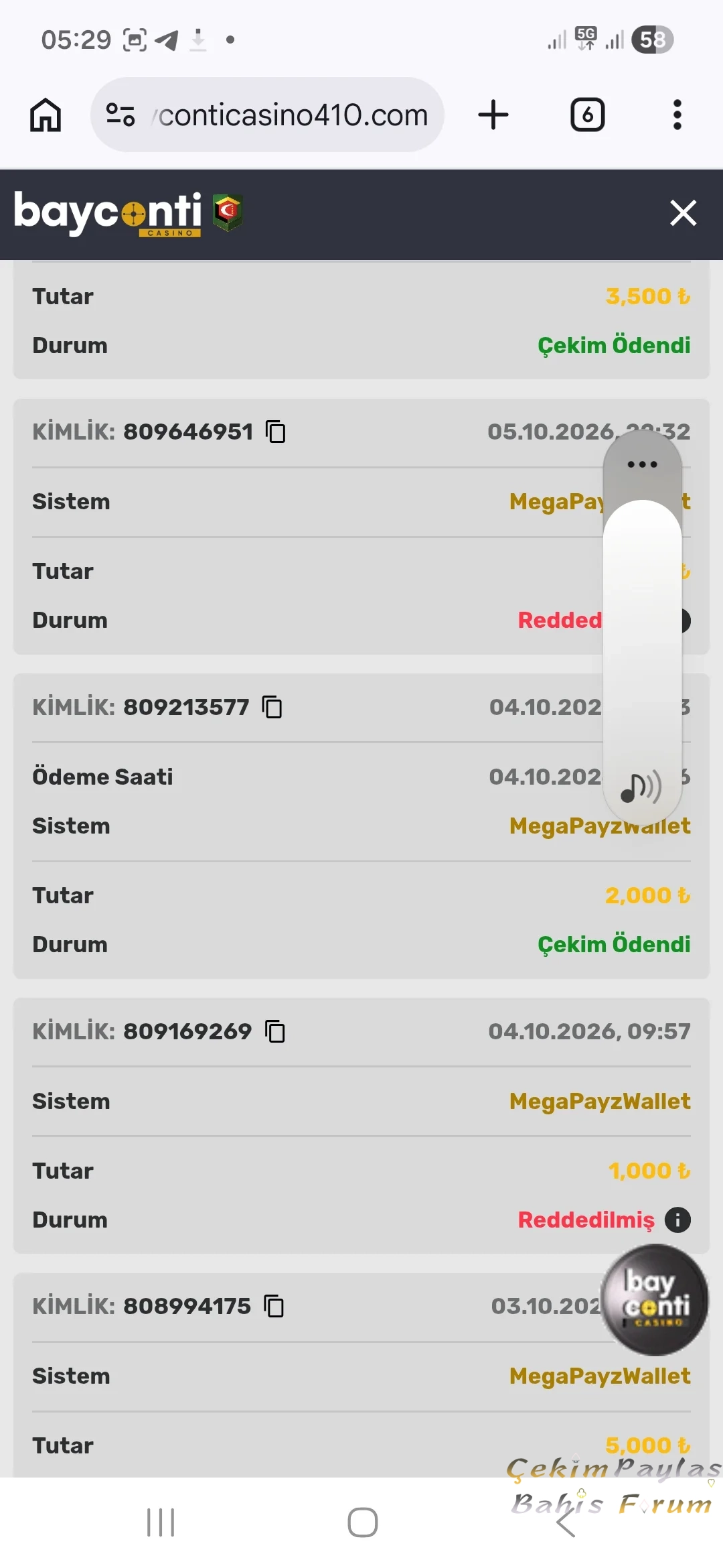 9190.webp