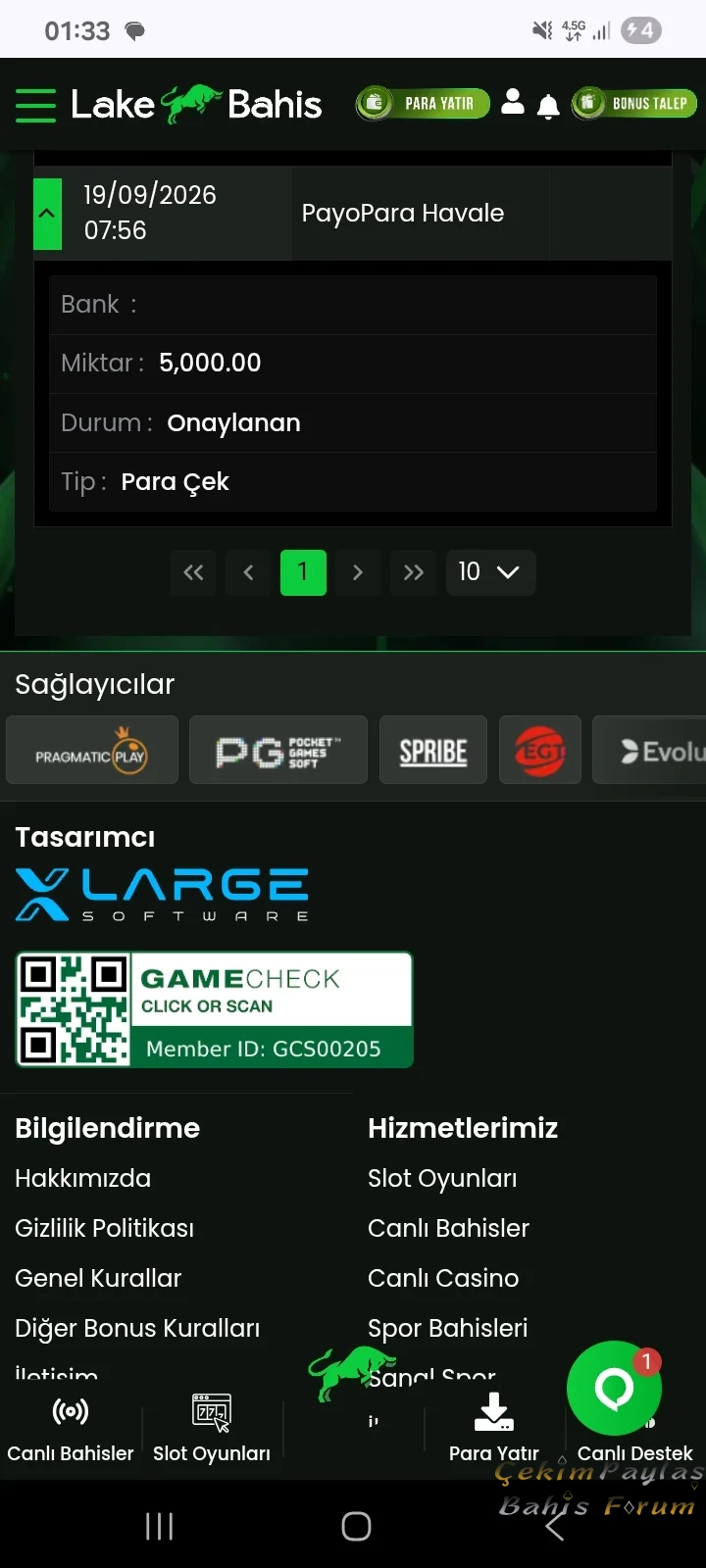 97.webp
